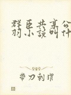 群臣共享公主银羽小说叫什么