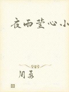 夜雨莹心小说