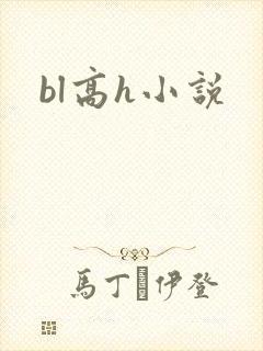 bl高h小说
