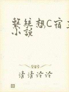 系统想C宿主的小说