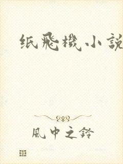 纸飞机小说
