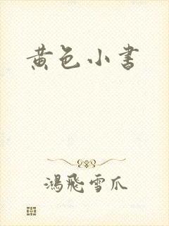 黄色小书