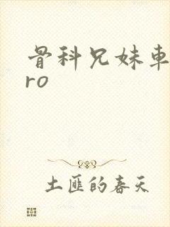 骨科兄妹车多pro