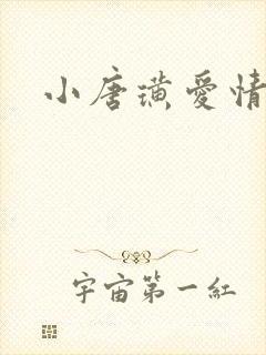 小唐璜爱情历史