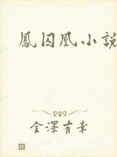凤囚凰小说