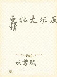 东北大坑原始激情