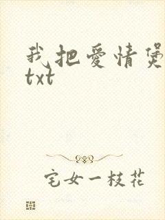 我把爱情煲成汤txt