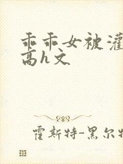 乖乖女被灌满精高h文