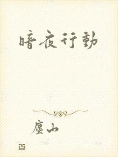 暗夜行动