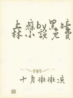 上瘾by黑暗森林小说免费