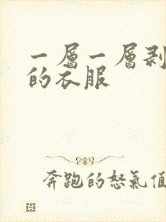 一层一层剥开我的衣服