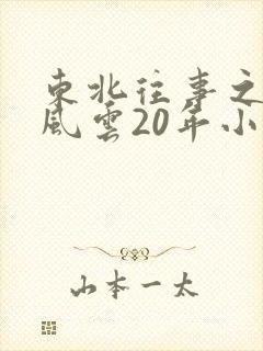 东北往事之黑道风云20年小说