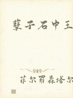 孽子石中玉