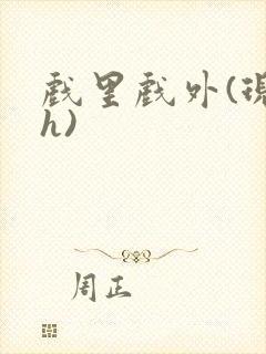 戏里戏外(现场h)