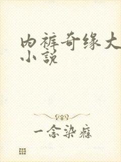 内裤奇缘大团结小说