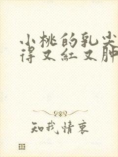 小桃的乳尖被吸得又红又肿