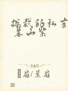 总裁的私有宝贝 暮山紫