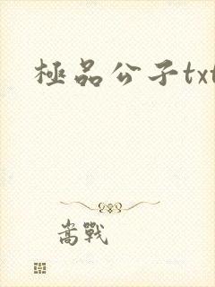 极品公子txt