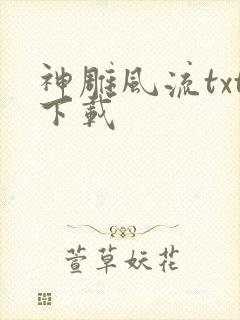 神雕风流txt下载