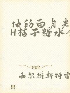 他的白月光HVH桔子糖水全文
