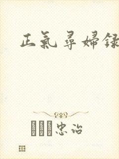 正气寻妇录