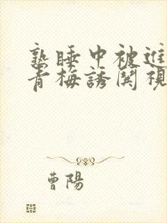 熟睡中被进了H青梅诱哄视频