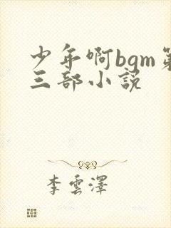 少年啊bgm第三部小说