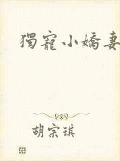 独宠小娇妻