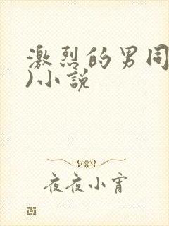 激烈的男同(h)小说