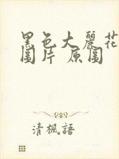 黑色大丽花真实图片 原图