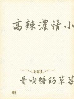 高辣浓情小说