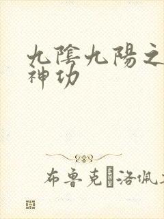 九阴九阳之阴阳神功