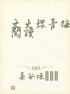 文火煨青梅免费阅读