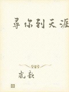 寻你到天涯