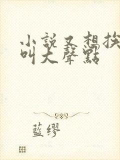 小说又想挨C了叫大声点