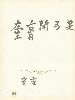 左右开弓是什么生肖