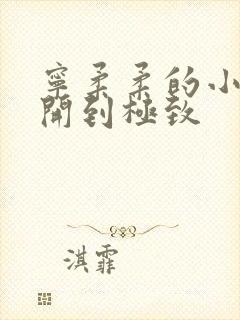 宁柔柔的小泬撑开到极致