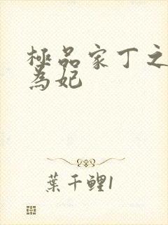 极品家丁之册母为妃