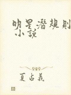 明星潜规则之皇 小说