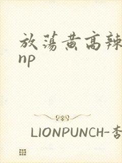 放荡黄高辣h文np