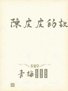 陈皮皮的故事