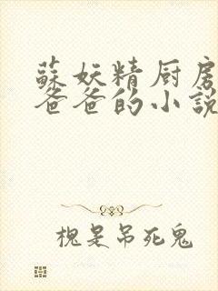 苏妖精厨房爹爹爸爸的小说