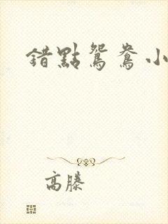 错点鸳鸯小说