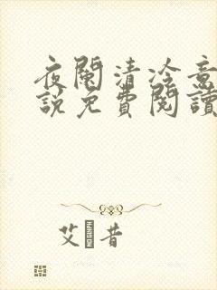 夜阑清冷意欢小说免费阅读