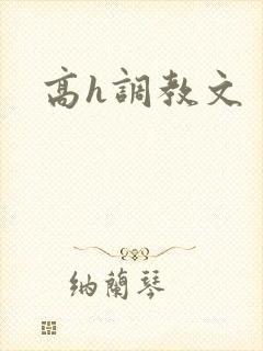 高h调教文