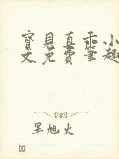 宝贝真乖小说全文免费笔趣阁