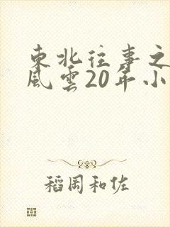 东北往事之黑道风云20年小说