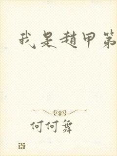 我是赵甲第小说