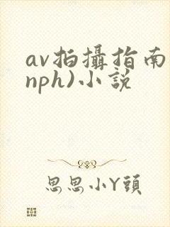 av拍摄指南(nph)小说