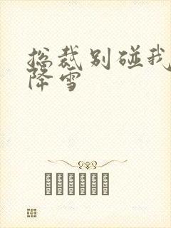 总裁别碰我 韩降雪